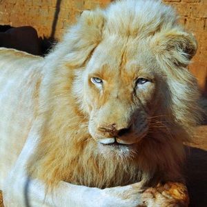 Meet your Posher, Marsha